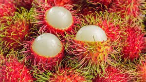 Buah Rambutan Manisnya Eksotis dari Indonesia